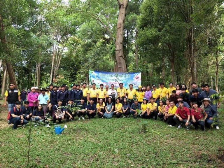 เขื่อนสิรินธร ร่วมปลูกต้นไม้ในวันสิ่งแวดล้อม