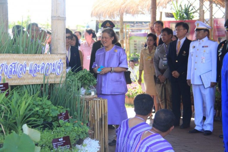 “กฟผ. น้อมเกล้าฯ อนุรักษ์สินทรัพย์ไทย”