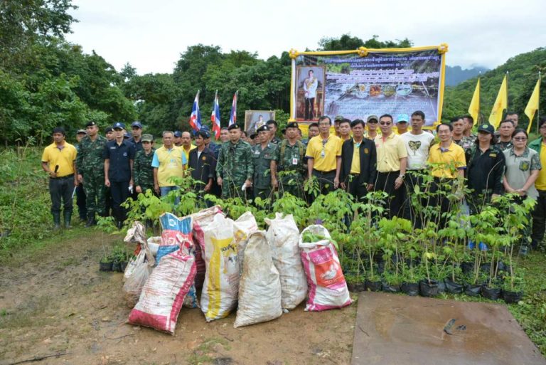 เขื่อนวชิราลงกรณจัดกิจกรรมปลูกไม้ยืนต้น