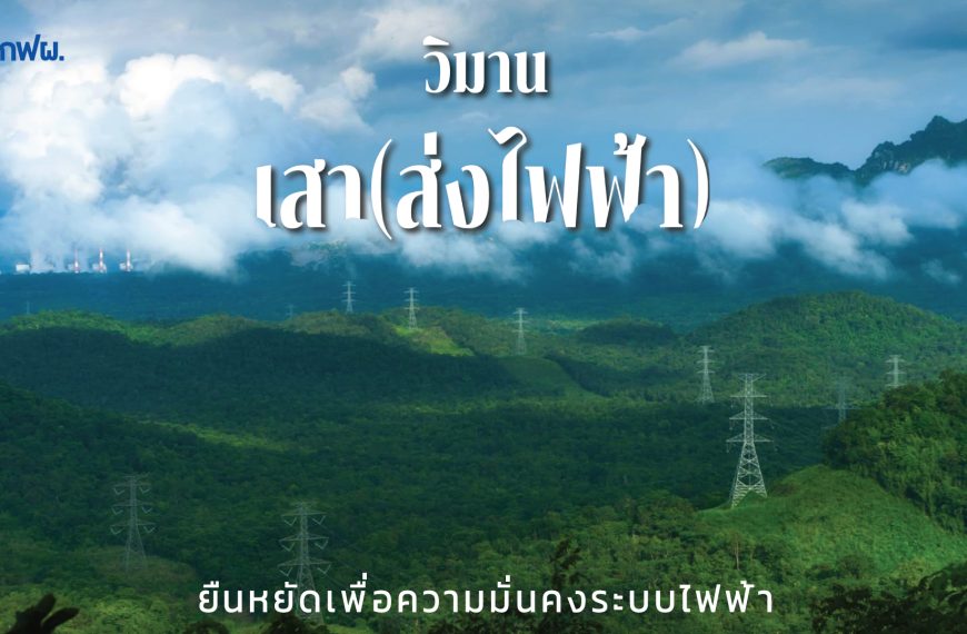 Transmission Towers Stand for Power System’s Security